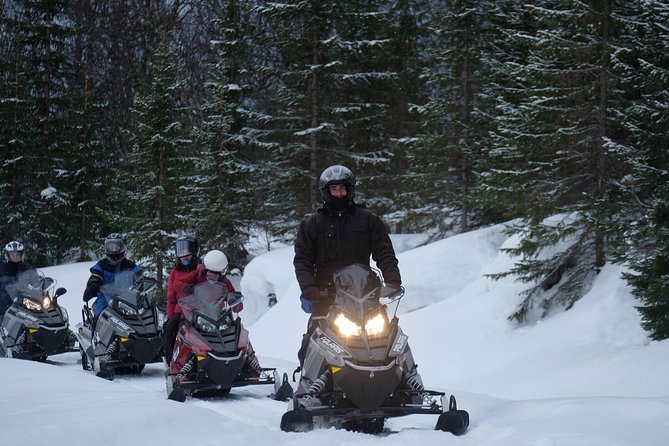 Lapland Lyngen Alps Snowmobile Safari From Tromso - Scenic Journey and Landscape