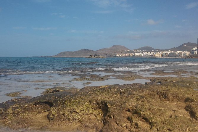 Las Canteras Beach Snorkeling and Species Identification Tour - Additional Information