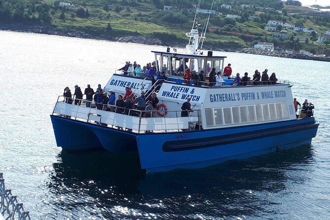 Late Season Puffin & Scenic Coastal Cruise - Cancellation Policy