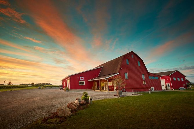 Learn About Wine Making on a Between the Lines Winery Tour  - Niagara Falls & Around - Vineyard Visit: How Grapes Grow