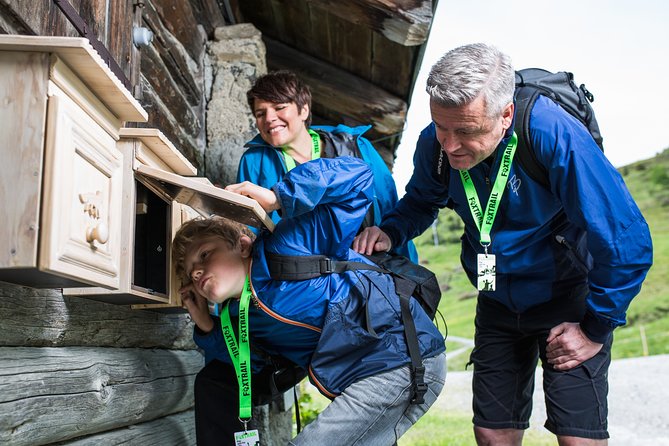 Lenzerheide Foxtrail Anda - Overview