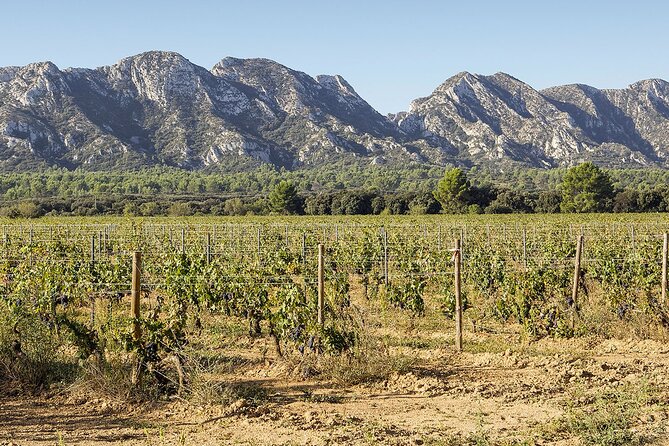 Les Baux De Provence: Wine Day Tour: 8 Hours - Cancellation Policy