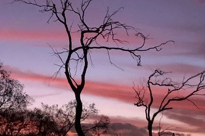 Lesmurdie Falls Sunset & Sparkling Hike - Meeting and Pickup Information