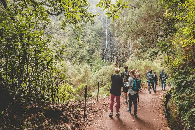 Levada Rabaçal and 25 Fountains Walking Tour - Highlights of Madeiras Nature