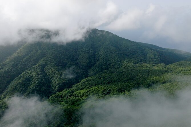 Liamuiga Natural Farm Tour - Cancellation Policy