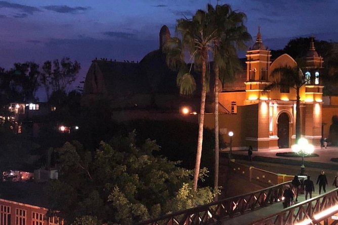 Lima Gourmet Food Tour: Evening Experience - Positive Reviews and Testimonials