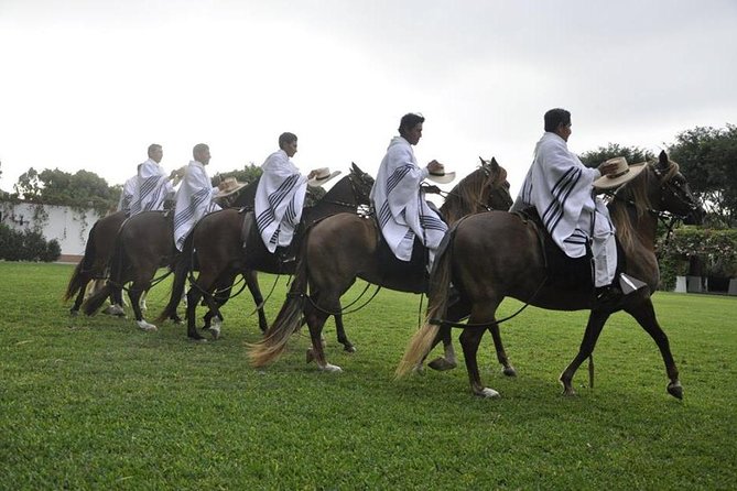 Lima: Premium Peruvian Horse Show With Lunch & Transfers - Traveler Reviews