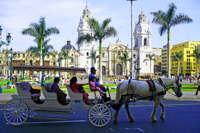 Lima Walking City Tour With Catacombs Visit (Transport Included) - Inclusions in the Tour Package