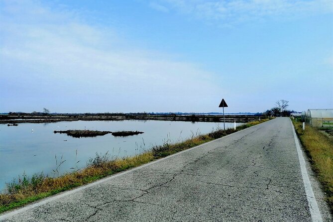 Lio Piccolo: Flamingos & Birdwatching Bike Tour in the Venetian Lagoon - Birdwatching Adventure