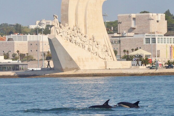 Lisbon Dolphins - Dolphin Watching in Lisbon - Reviews and Ratings