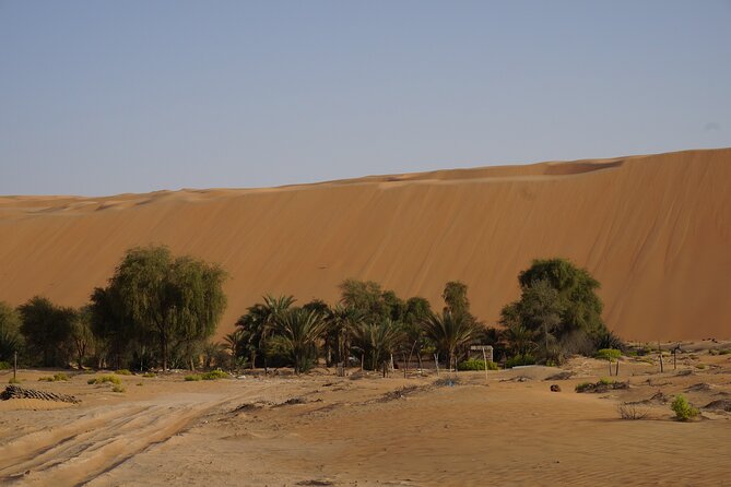 Liwa Full Day Desert Safari From Abu Dhabi - Common Questions