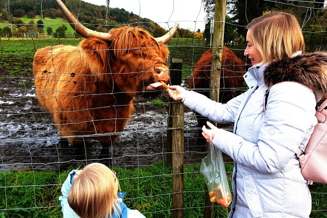 Loch Ness, Glencoe and the Highlands Private Luxury Day Tour - Tour Highlights and Itinerary