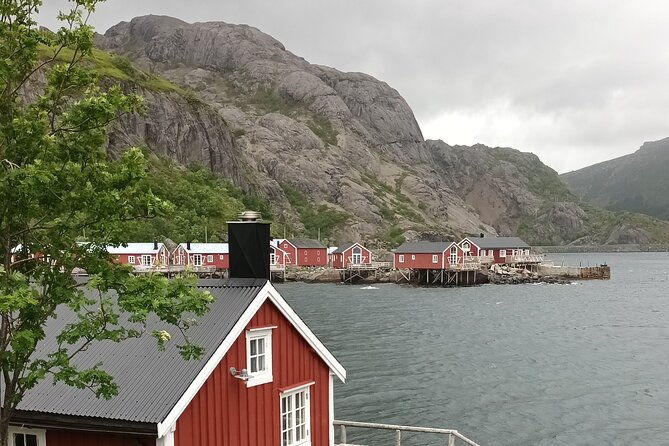 Lofoten PRIVATE Tour From Leknes - Small Group (1-4 Pax) - Review Examples