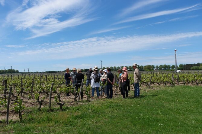 Loire Valley Wines Private Day Tour With Tastings From Tours or Amboise - Tour Overview