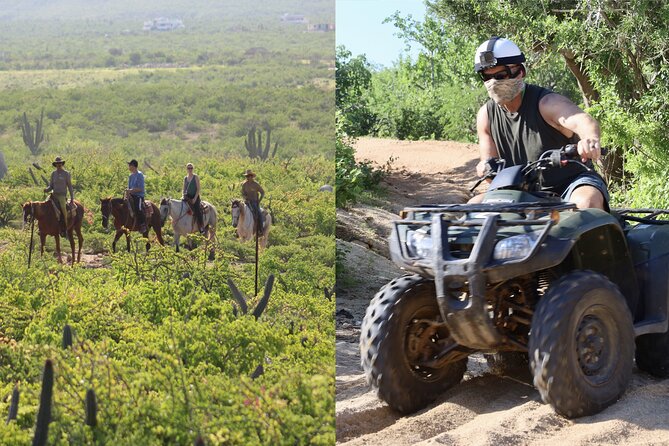 Los Cabos ATV and Pacific Horseback Riding Combo Tour - ATV Tour Highlights