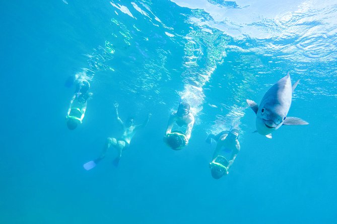 Los Cabos Sea Adventure: Snorkeling, Kayaking and Stand-Up Paddleboarding - Adventurous Activities