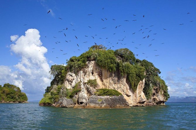Los Haitises National Park With Montana Redonda, River and Lunch From Punta Cana - Common Questions