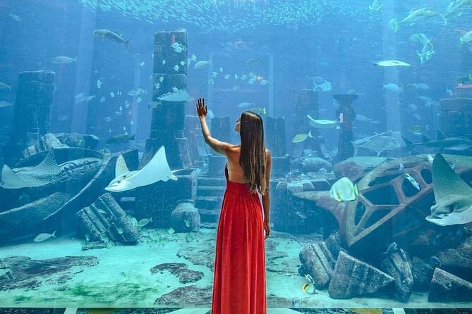 Lost Chamber Aquarium in Atlantis, Dubai - Overview of the Lost Chamber Aquarium