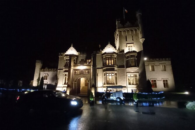 Lough Eske Castle Hotel To Dublin Airport or Dublin Private Chauffeur Transfer - Services Provided During the Transfer