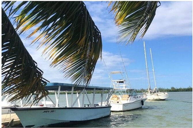 Luminous Lagoon Dark Night Tour From Ocho Rios and Runaway Bay Hotels - Directions
