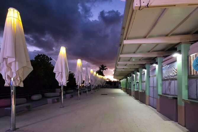 Luminous One Puerto Rico: Bio Bay Boat Ride With Swimming - Reviews and Feedback