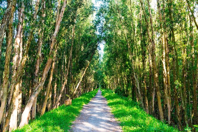 Lung Ngoc Hoang Nature Reservation - Traveler Experiences and Reviews