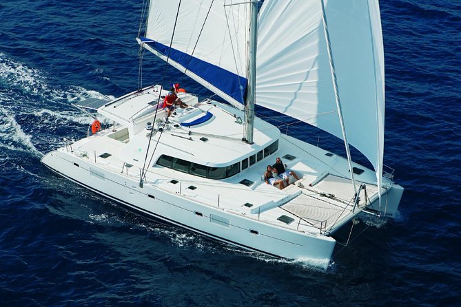 Luxury Hawaiian Sea Turtle, Dolphin Sail and Kona Snorkel - What to Expect