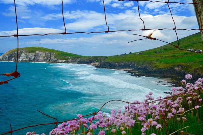 Luxury Photography Day Tour on Dingle Peninsula - Fully Guided and Chauffeured - Exclusive Access to Hidden Gems