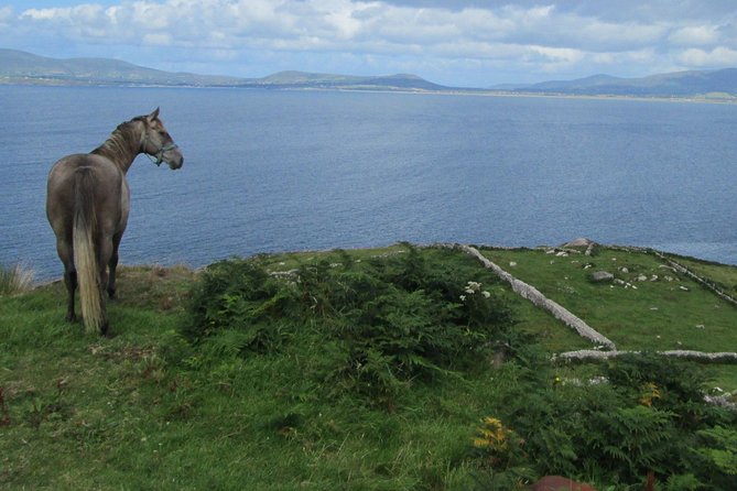 Luxury Photography Day Tour on Ring of Kerry and Skellig Ring - Fully Guided and Chauffeured - The Sum Up