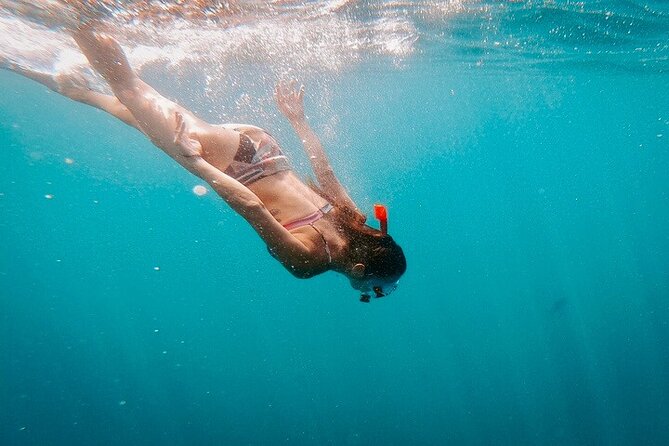 Luxury Snorkeling Tour in Cabo San Lucas - Gourmet Lunch and Open Bar