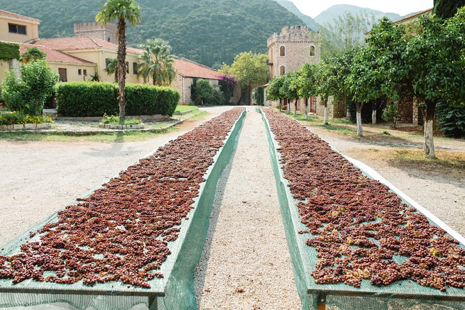 Luxury Wine Tour in Patras & Aigialeia, Greece - Cancellation Policy and Refunds