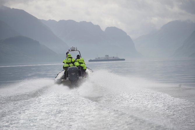 Lysefjord RIB Safari From Stavenger - Inclusions and Logistics