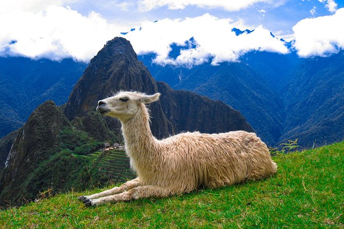 Machu Picchu: Guided Tour  - Sacred Valley - Cancellation Policy