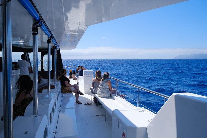 Madeira Dolphin and Whale Watching on a Ecological Catamaran - Meeting and Pickup Information