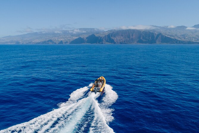 Madeira Dolphin & Whale Watching Tour - Sailing Experience and Schedule Options