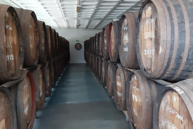 Madeira: Private Half-Day Wine Tasting Tour - Tour Overview
