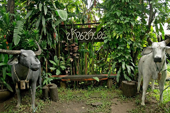 Mae Ping River Boat Ride From Chiang Mai With Lunch - Meeting and Pickup