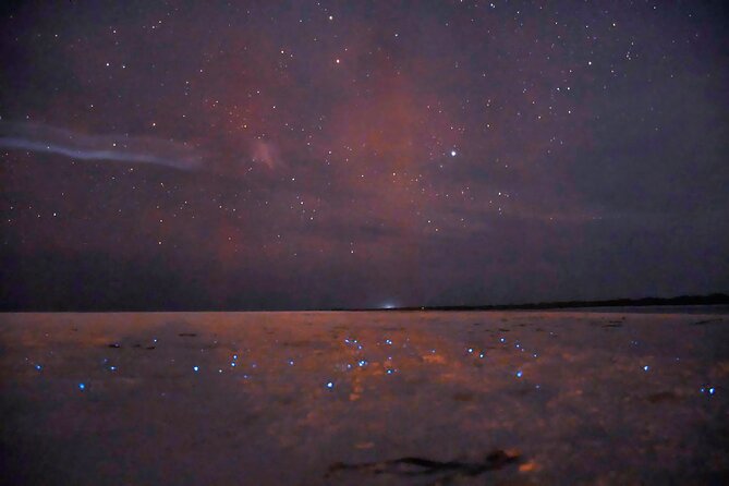 Magic Night of Stargazing and Bioluminescence - Communication and Cancellation Policy