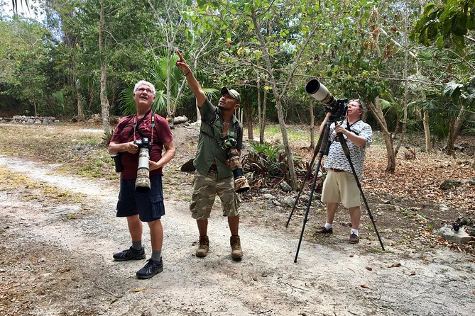 Mahahual and Costa Maya Birdwatching - Unveiling Hidden Gems: Jungle, Mangroves, and Grasslands