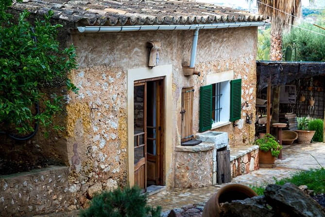 Majorca Winery Visit With Wine & Local Food Tasting From South - The Sum Up