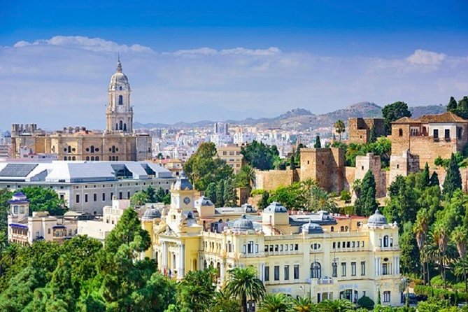 Málaga Picasso Museum Private Guided Tour - End Point and Cancellation Policy