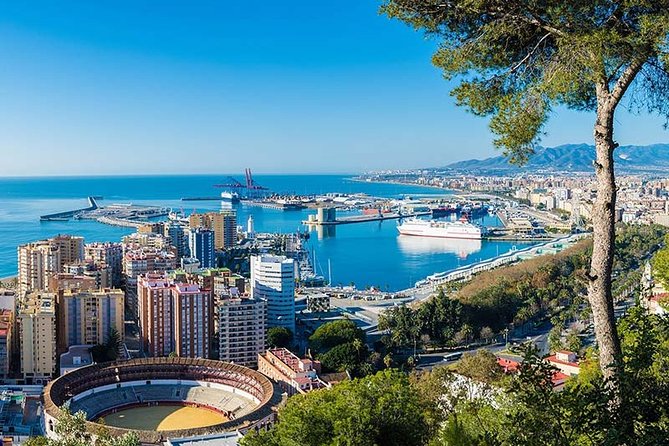 Malaga Private Tours and Excursions From Granada for up to 8 Persons - Itinerary Overview
