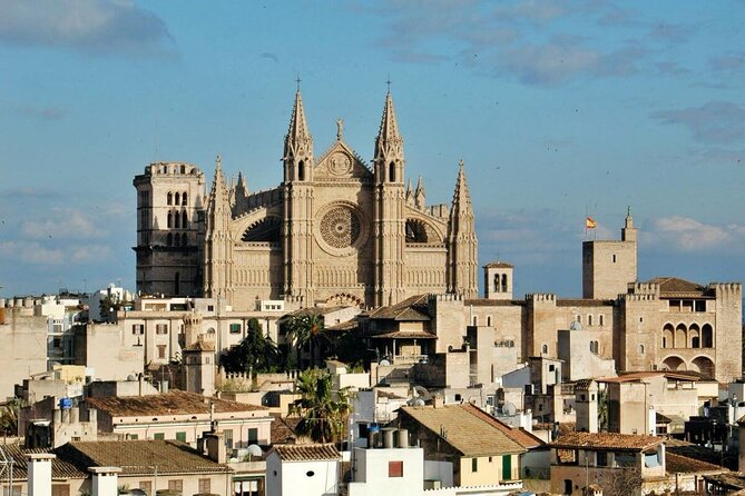Mallorca Shore Excursion Bellver Castle and Cathedral Private Tour - Insights From Customer Testimonials
