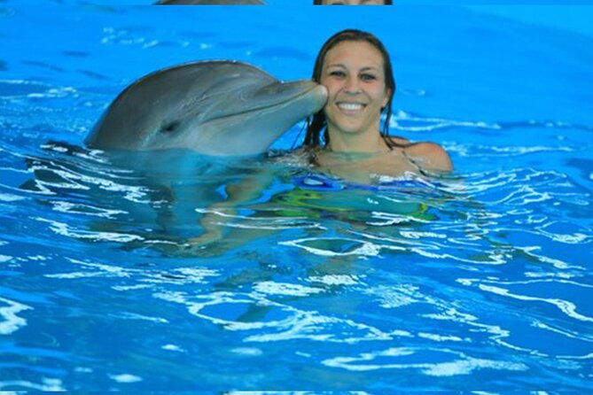 Manati Park and Dolphins .. 9. - Meeting and Pickup