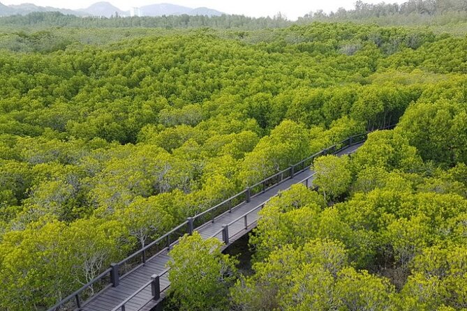 Mangrove Forest Hike and River Boat Ride With Private Guide From Hua Hin - Mangrove Forest Hike