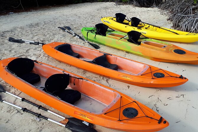 Mangrove Forest Tour - Glass Bottom Kayak - Cancellation Policy