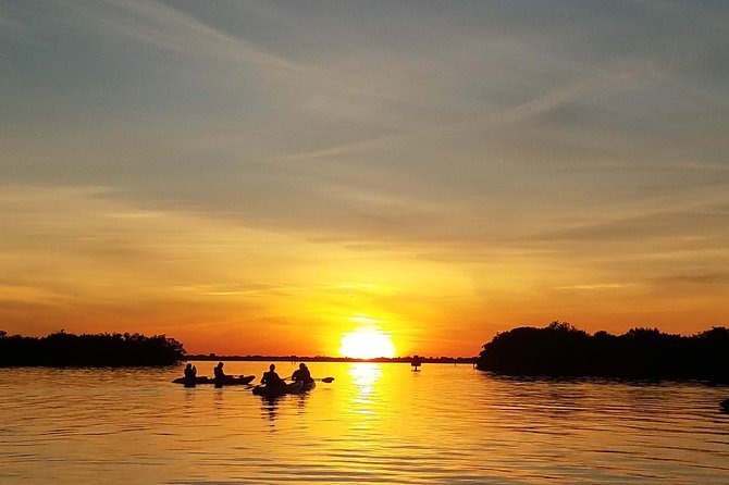 Mangrove Tunnels, Manatee, and Dolphin Sunset Kayak Tour With Fin Expeditions - Overview of the Kayak Excursion