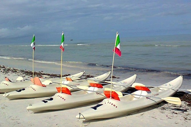 Mangroves Paddling Tour - Booking and Availability