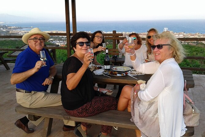 Manilva Oceanfront Wine Experience in the Marbella Area - Vineyard Tour and Wine Production Process