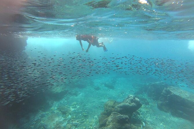 Marietas Islands Eco Discovery Snorkeling Adventure - Additional Information